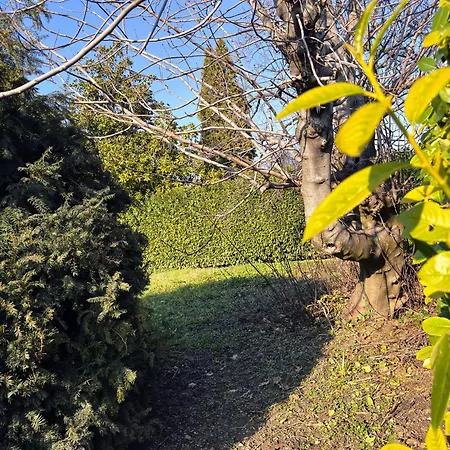 Casa Lupo - Completo Lägenhet